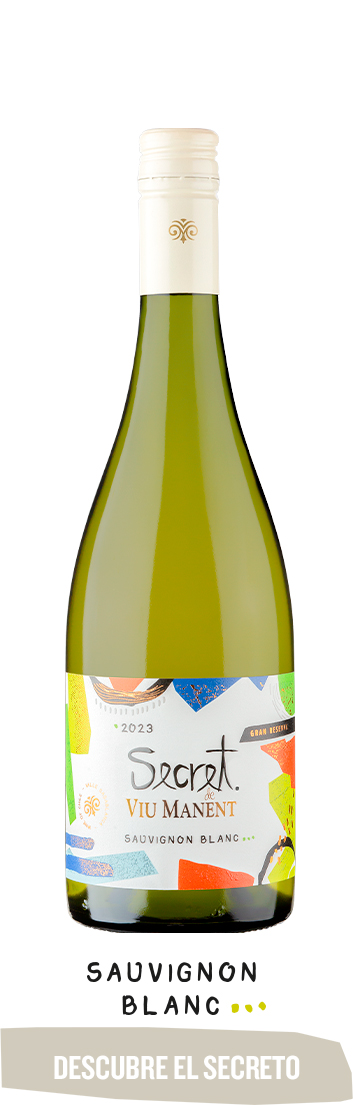 BOTELLA-BOTON-CORTA SB