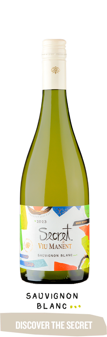 BOTELLA-BOTON-CORTA SB